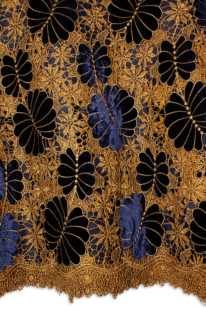 Velvet Lace in Midnight Blue & Gold - VVL003