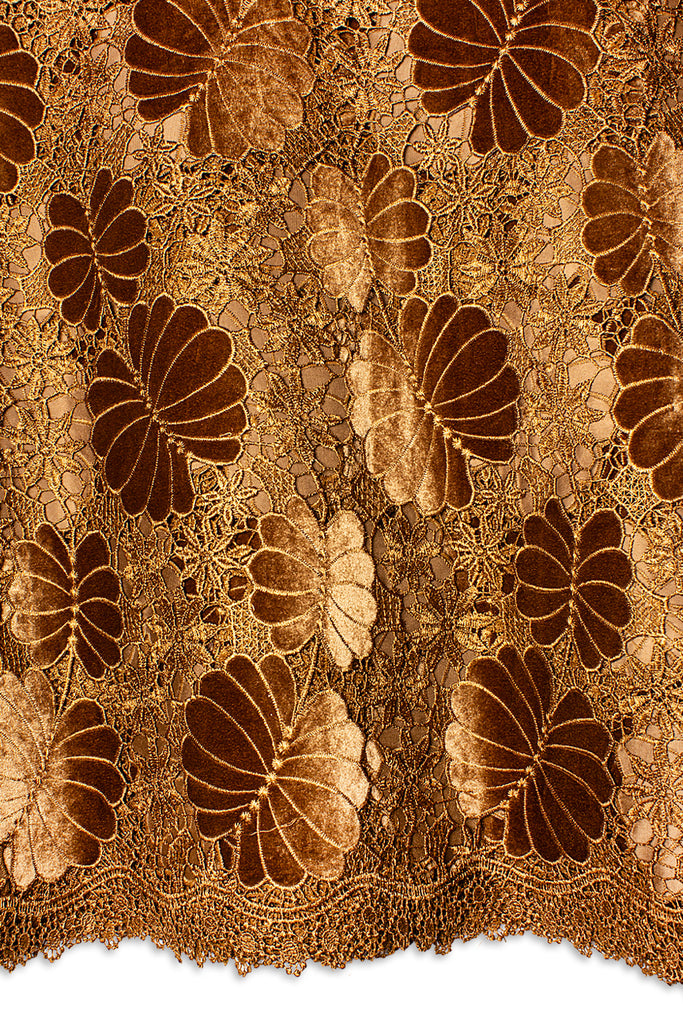 Velvet Lace in Golden Brown & Gold - VVL005 (Copy)