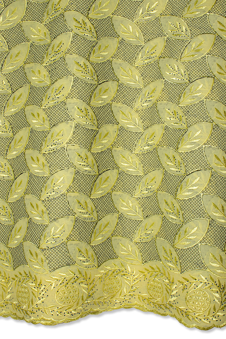 Voile Lace in Butter & Black - VL585