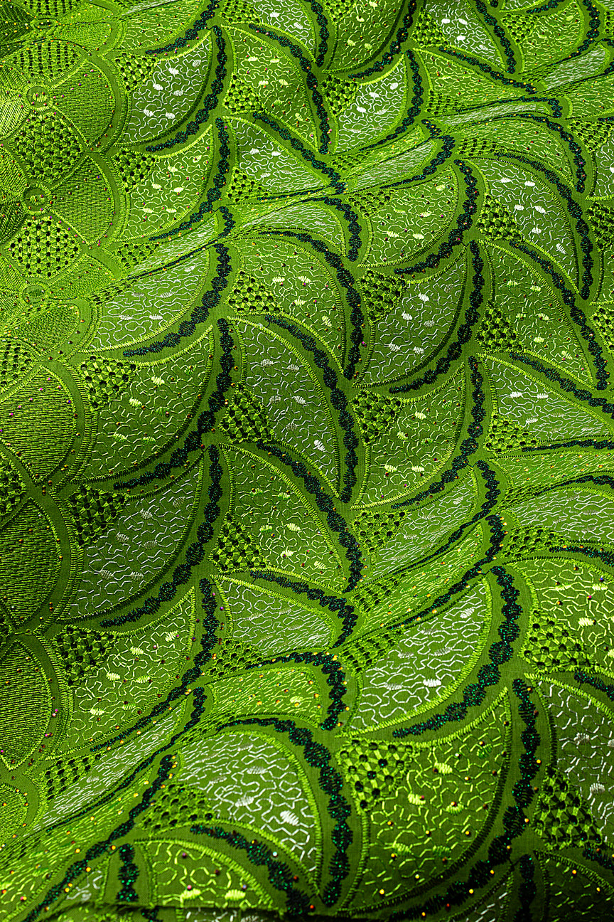 Voile Lace in Lime - VL667